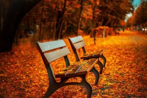 November